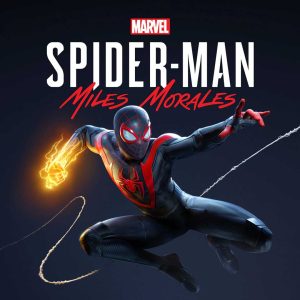 spider